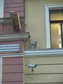 09_spb011.jpg