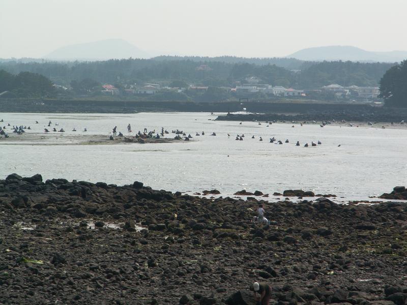 pict20.jpg